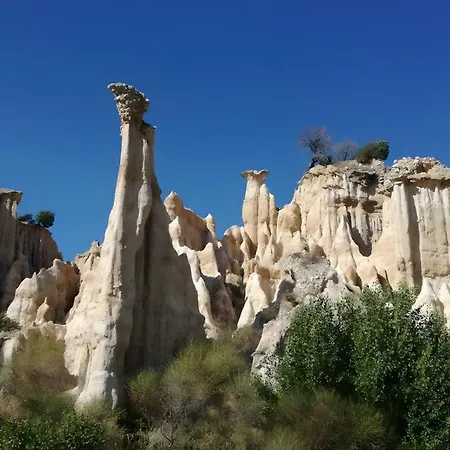 Le 874 بيت للعطل